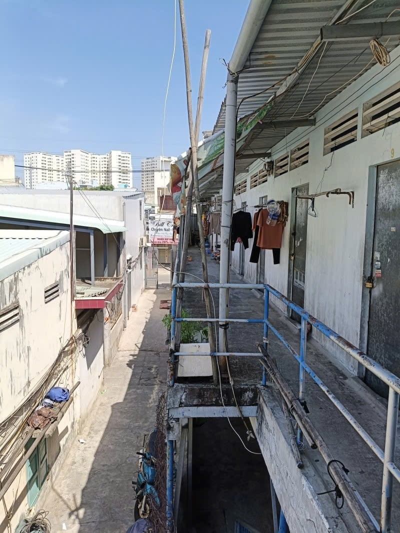 z5814364029133_0a1b671eb236e3f69c9c6e013e035198