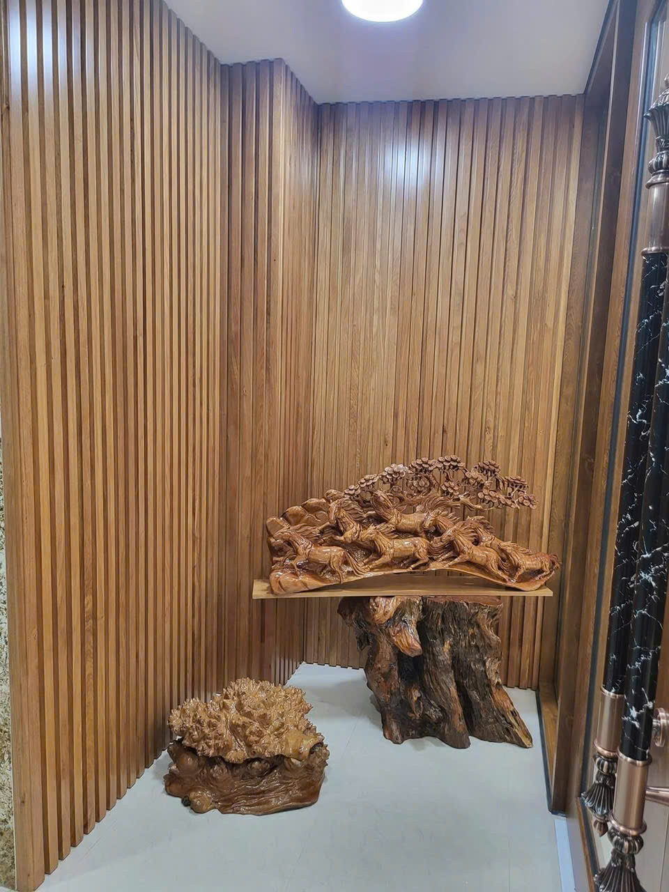 z5815696056579_2a7d2fd9ac7f560d154db726a9e29802