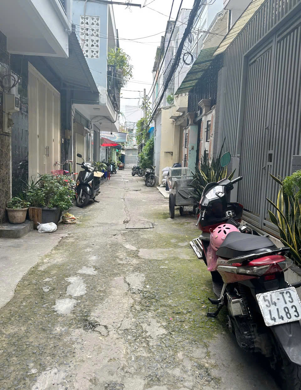 z5822900956002_cf0caef127f896cb91e6aeeb78a0cbc7