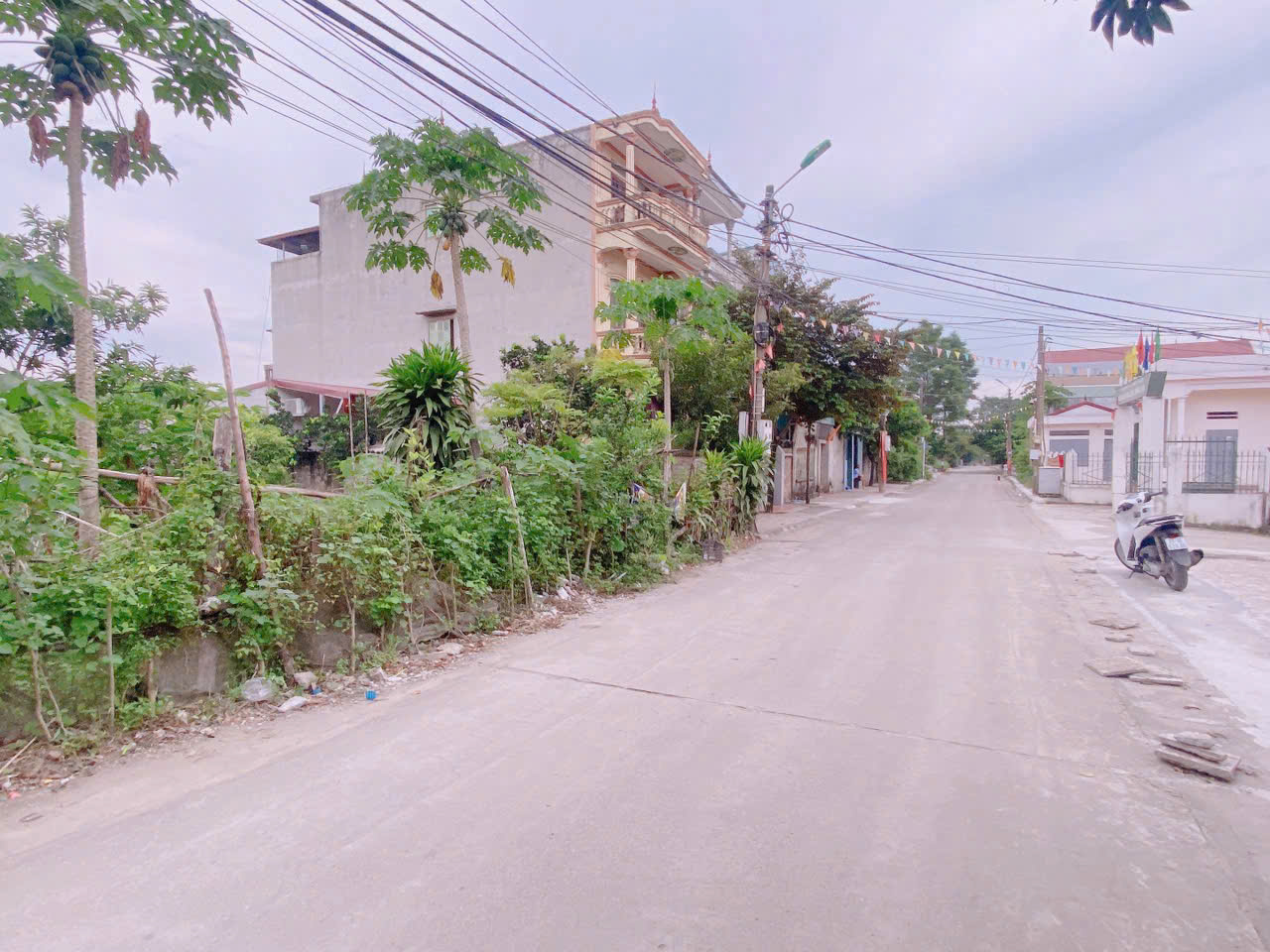 z5828541220434_80ed7bcefc01e4c8a7a6b2624c69c530