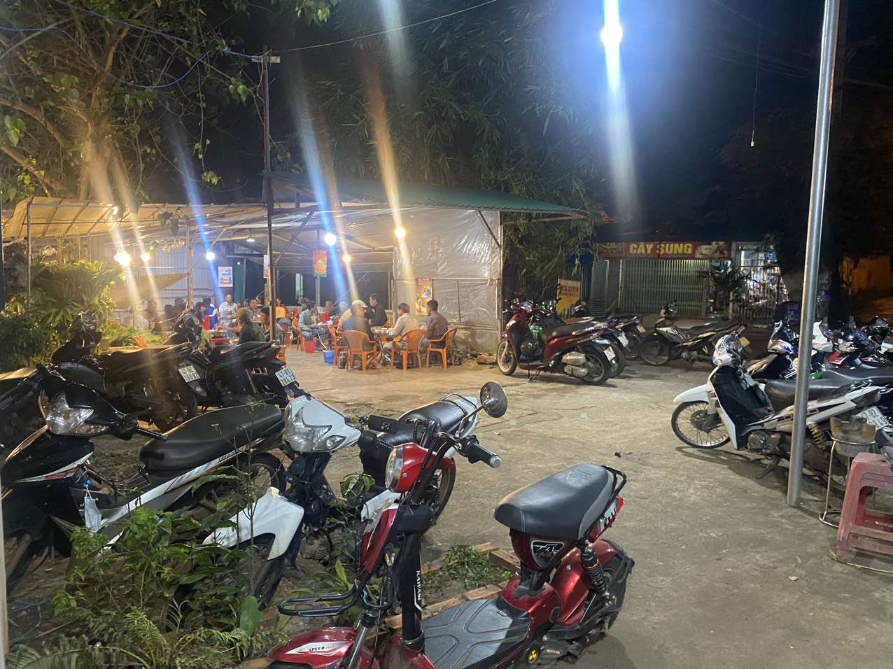 z5830119522237_560fac207cba7812e966169154069a96