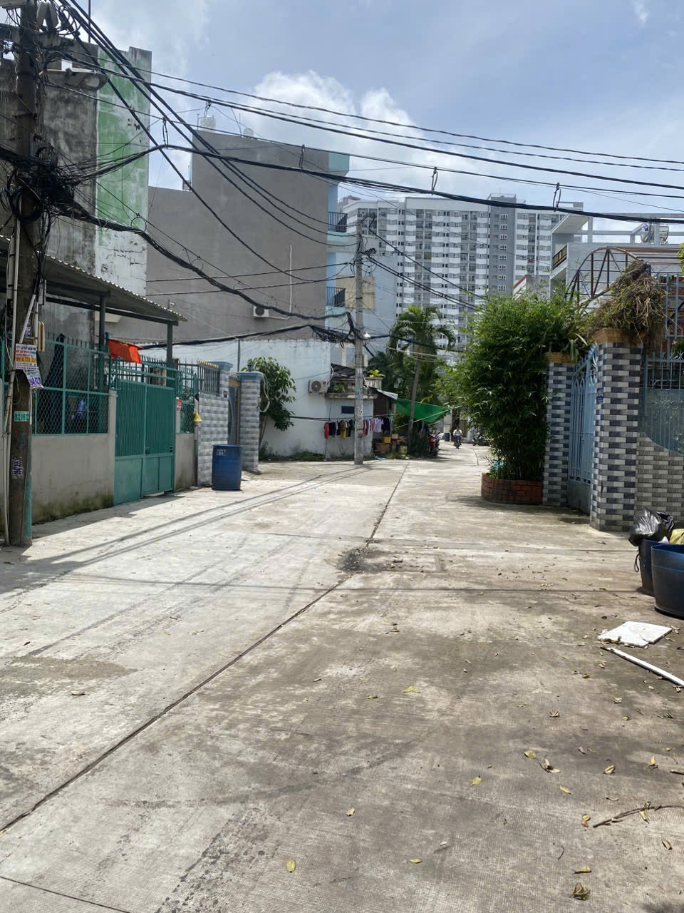 z5830211494271_28c4e159af614d5f1cde6d10f9612e00