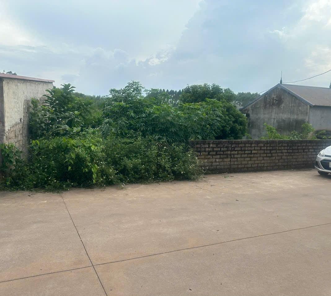 z5831333190378_e9417887ce71b453700023451c38c59a