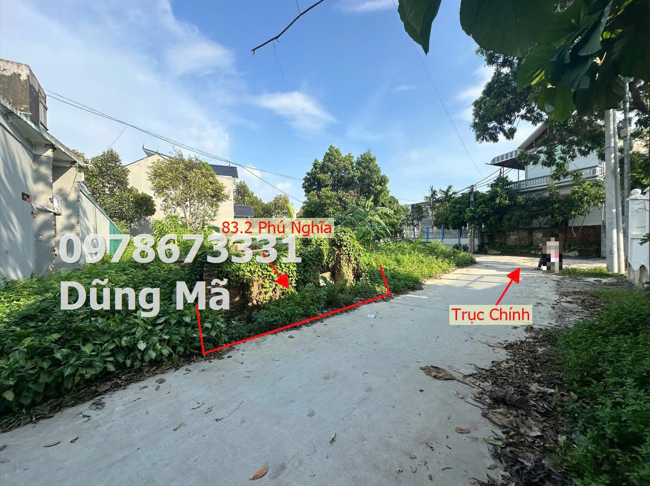 z5833637626186_4d79f0714fc68a57b771854d296e84e0