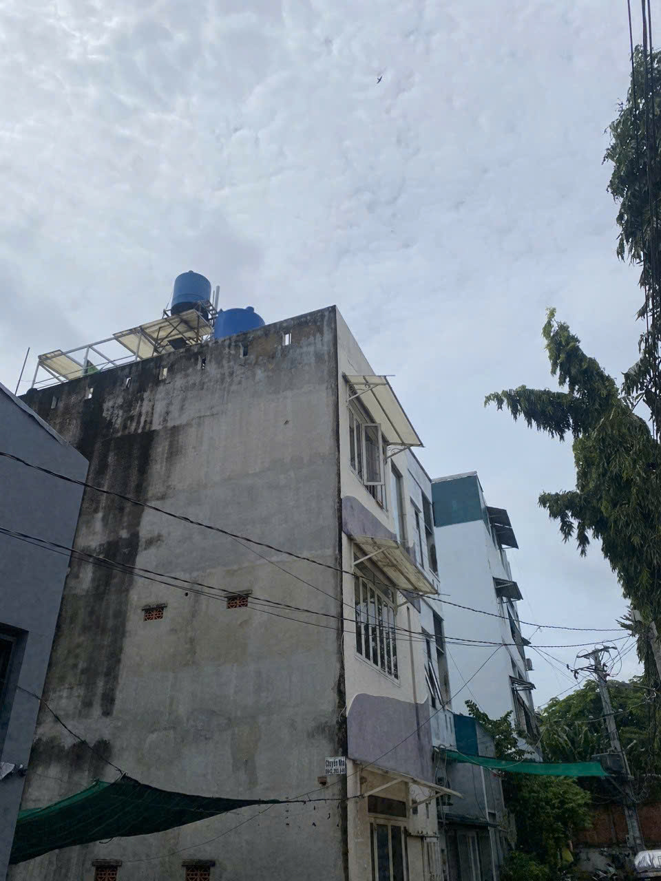 z5833892148301_8e57b85b4662d310ebe6c0863e30628b