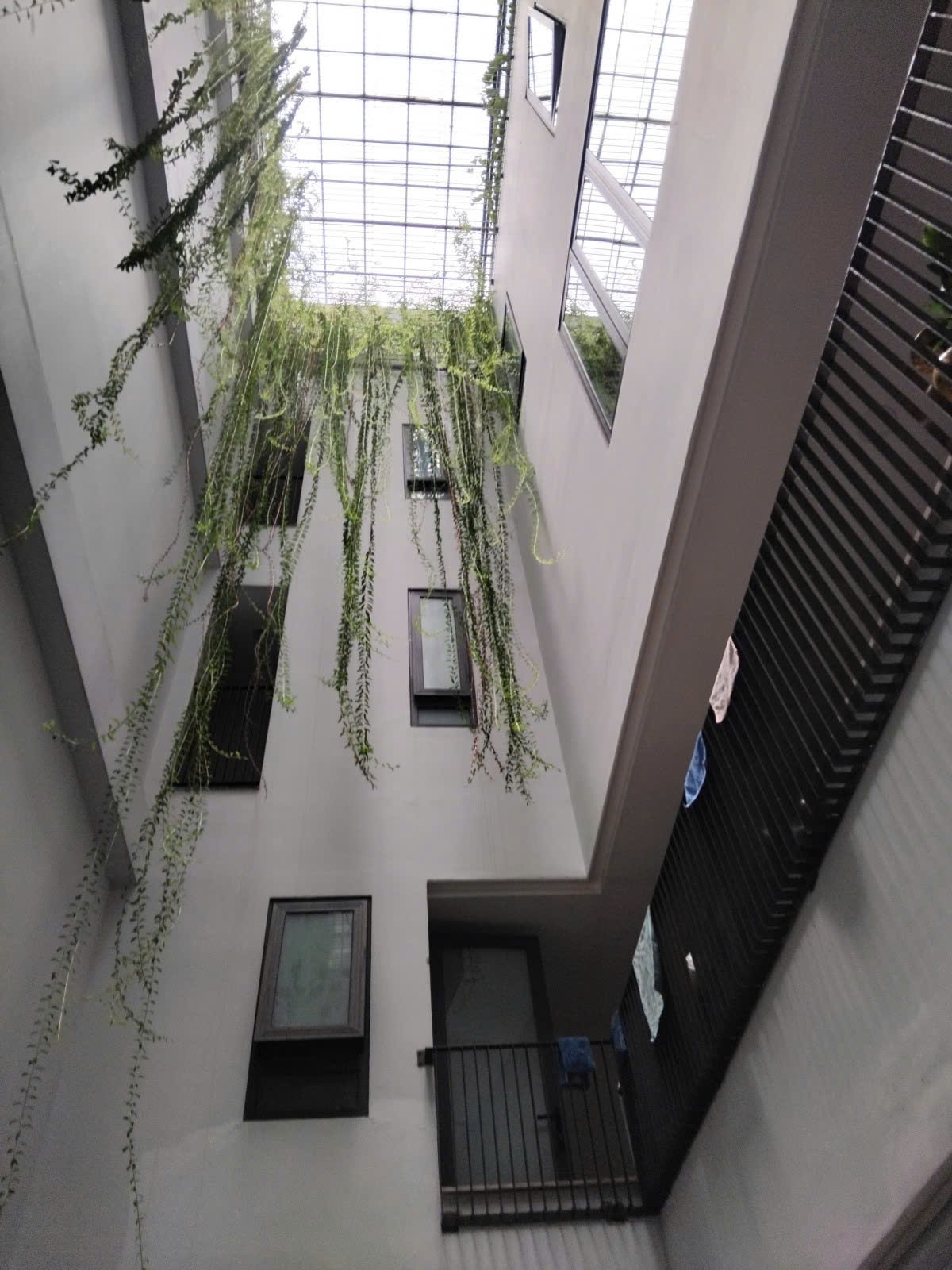 z5834756481454_0bac58ac5596bce6db1596e3f2a8a19b