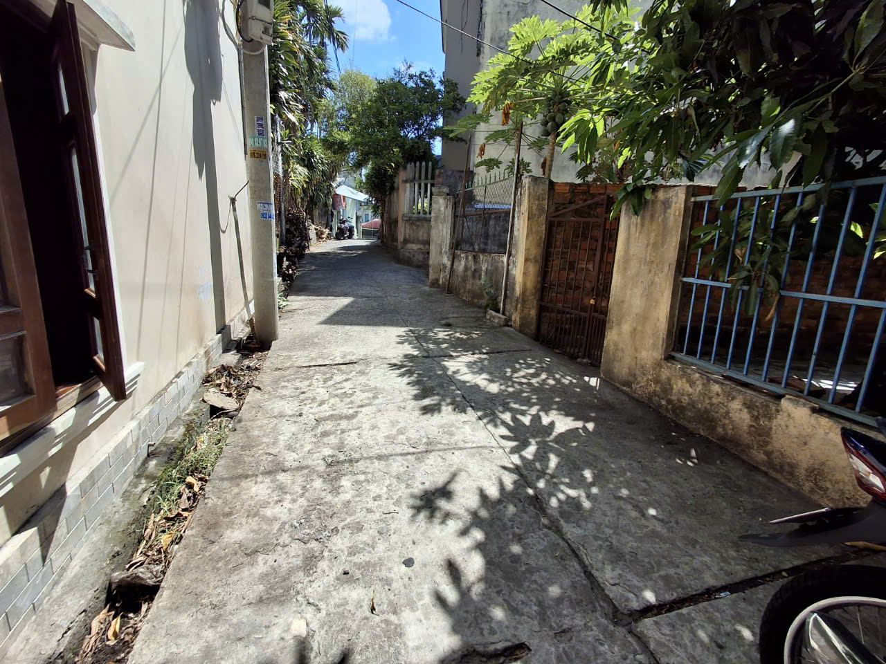 z5835268589681_d377c9a8506dbc1b245d3f91df0c7cb0