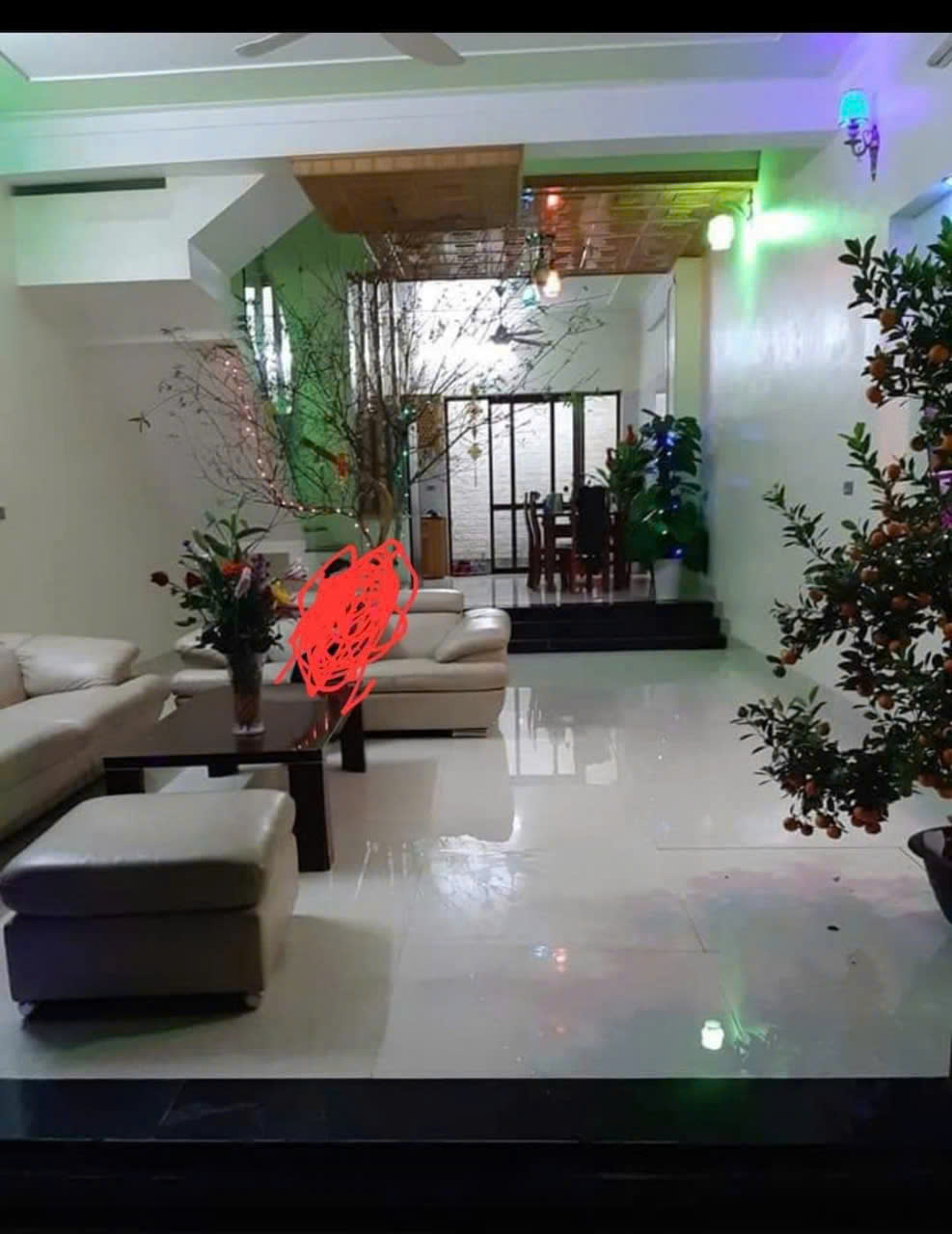 z5835384664998_a155cf8ed658b57cad735b43cf7c56aa