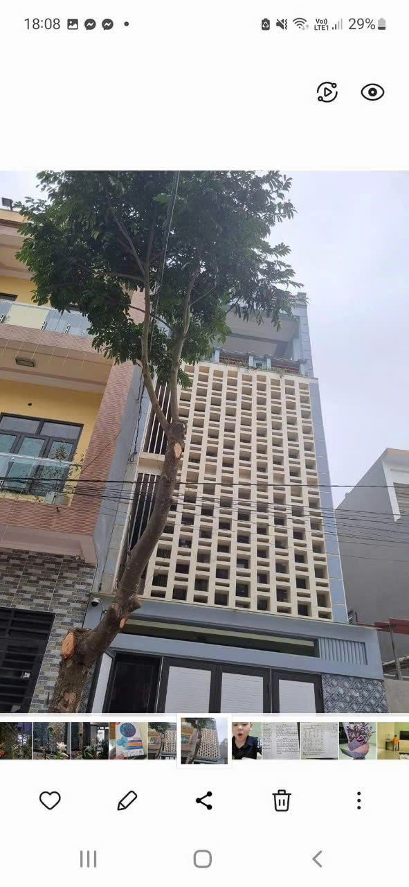 z5835386403554_a42596253a95a86ac78804f480d1b548