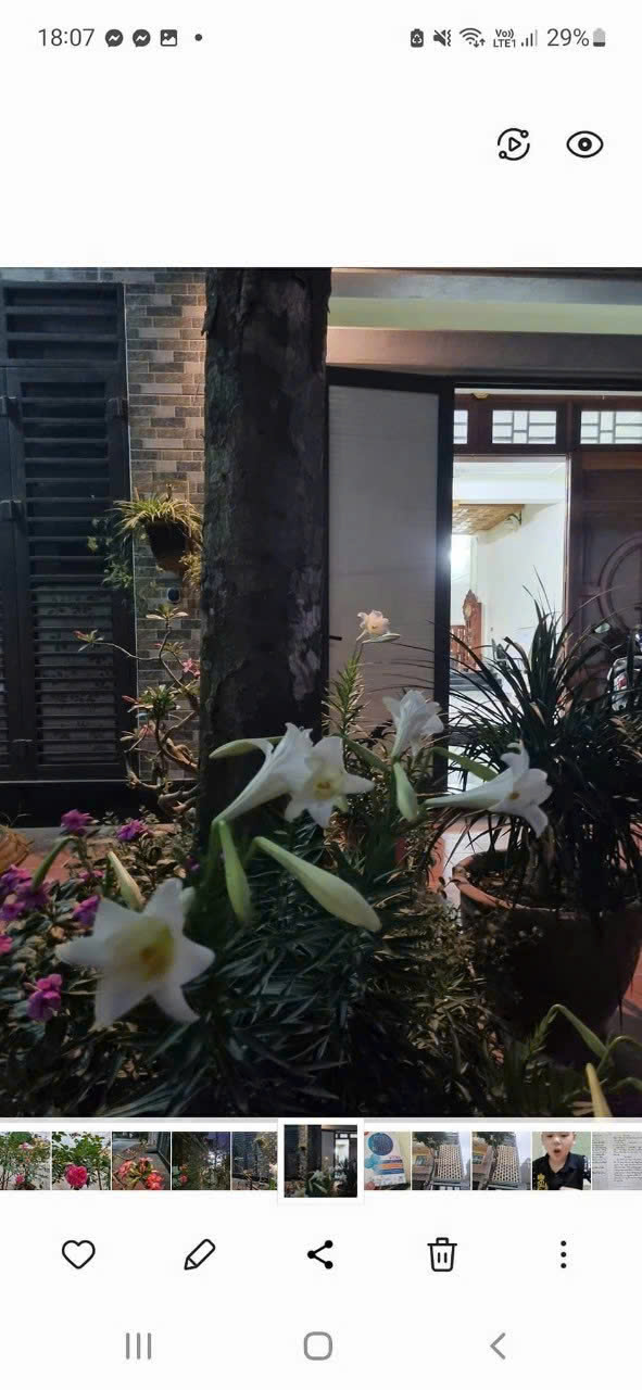 z5835386542032_129c52b8e25e1fce146b699364997f61