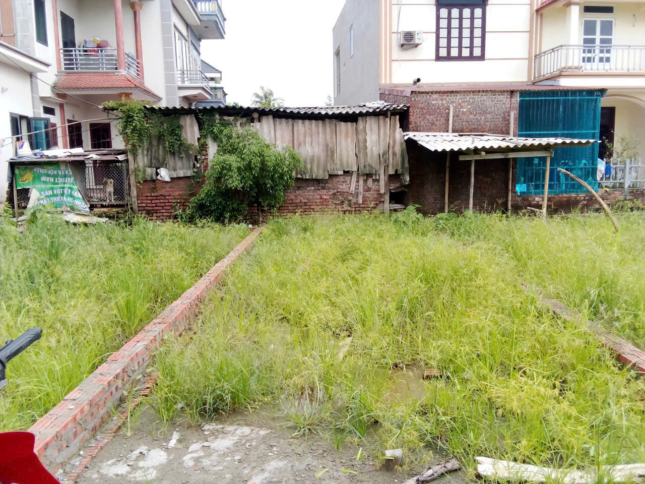 z5839254619003_c6d19f5dd12cdcf9e7d7b1ee5b40423e