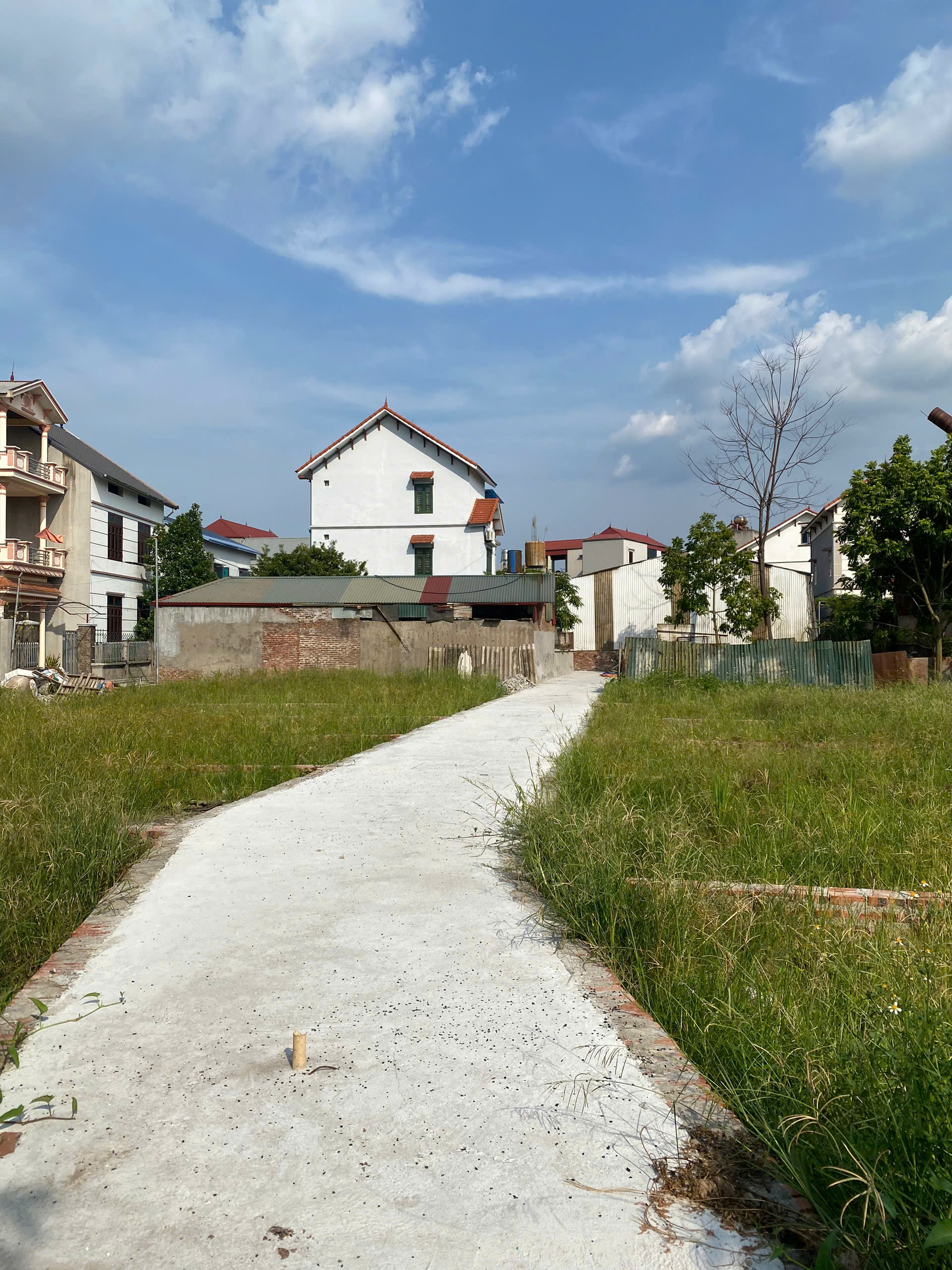 z5839254619004_b71ea33521206c266d4be6f1f1b35ff8