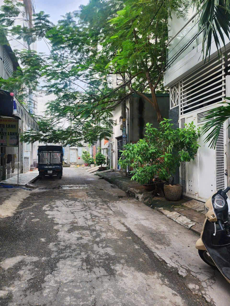 z5839387704572_f0b58ee74e3b547b7ee3b8ad9ae0a029