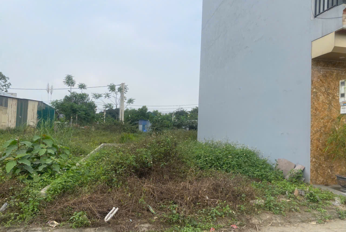 z5839684573525_3516eb12168dcfd1216c3860b5b90faa