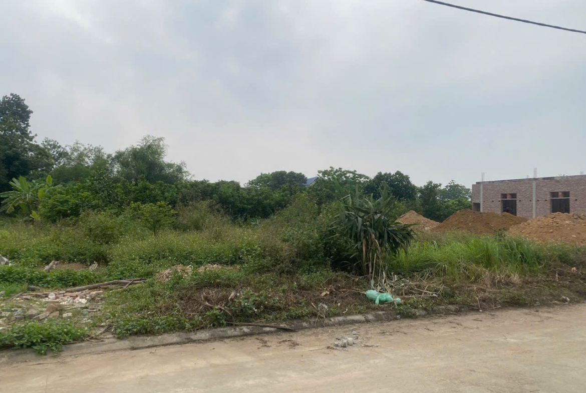 z5839684582508_bc8a76ab0958678b699712ea7240165b