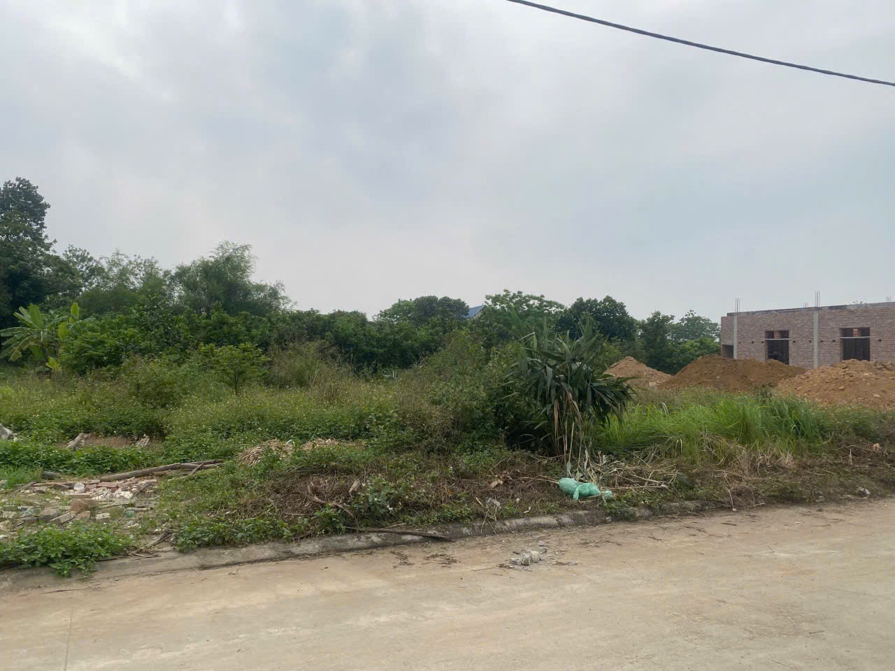 z5839684582508_bc8a76ab0958678b699712ea7240165b