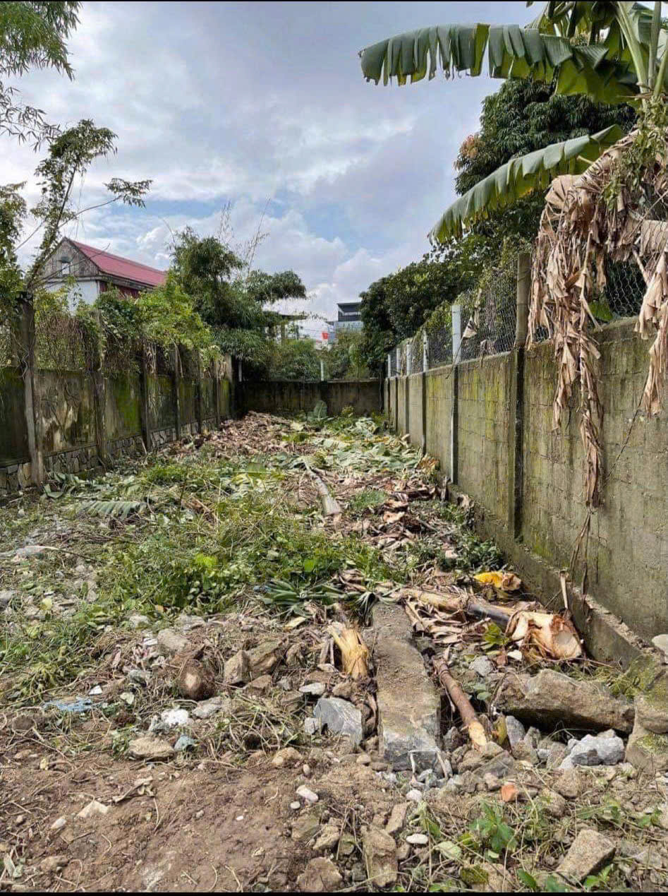 z5840085747963_2adcb01e115092244e7a214b7ee3577c