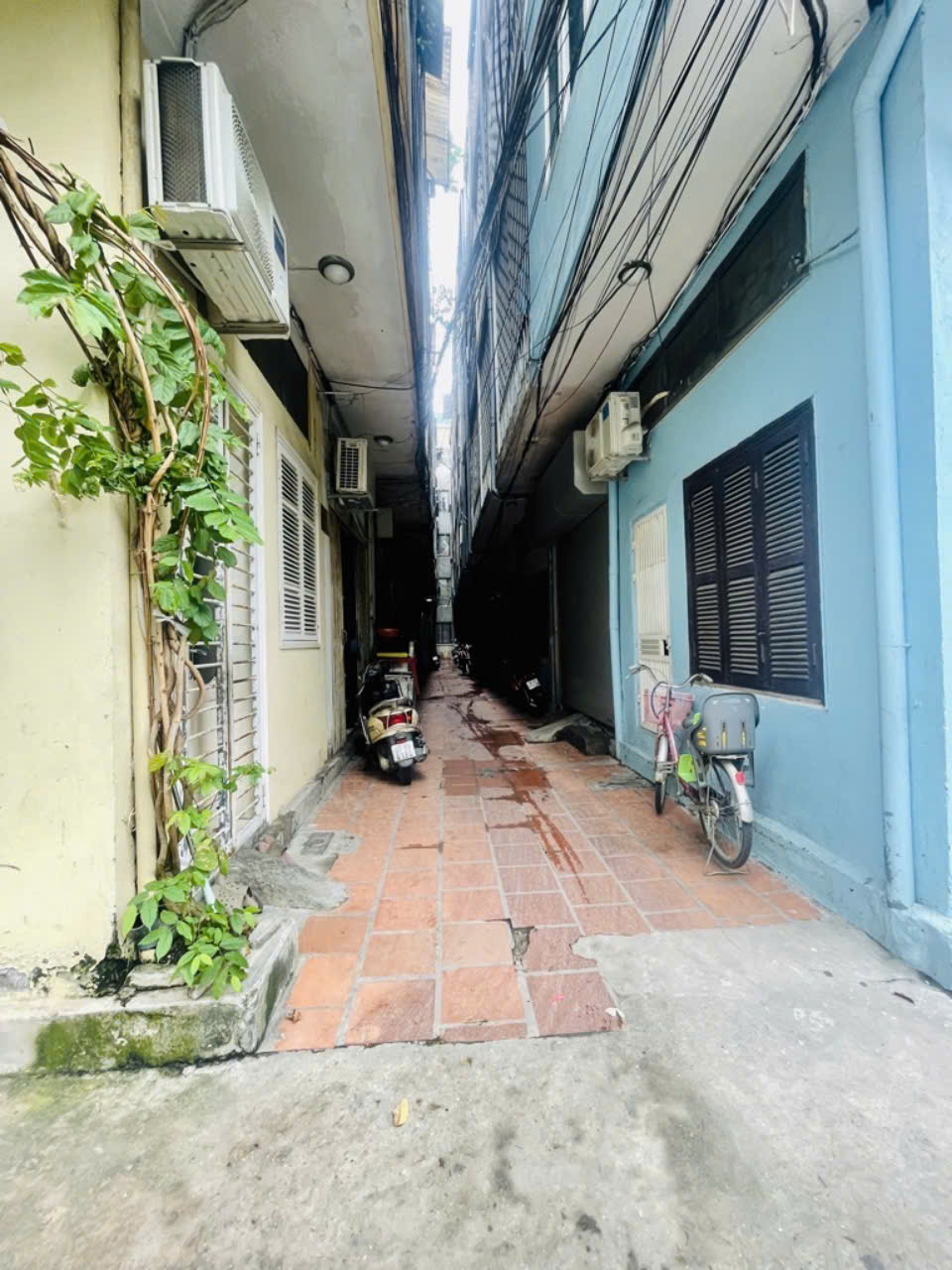 z5841503140418_43caccb1b138f1279bf1ffd97f3a1f5b