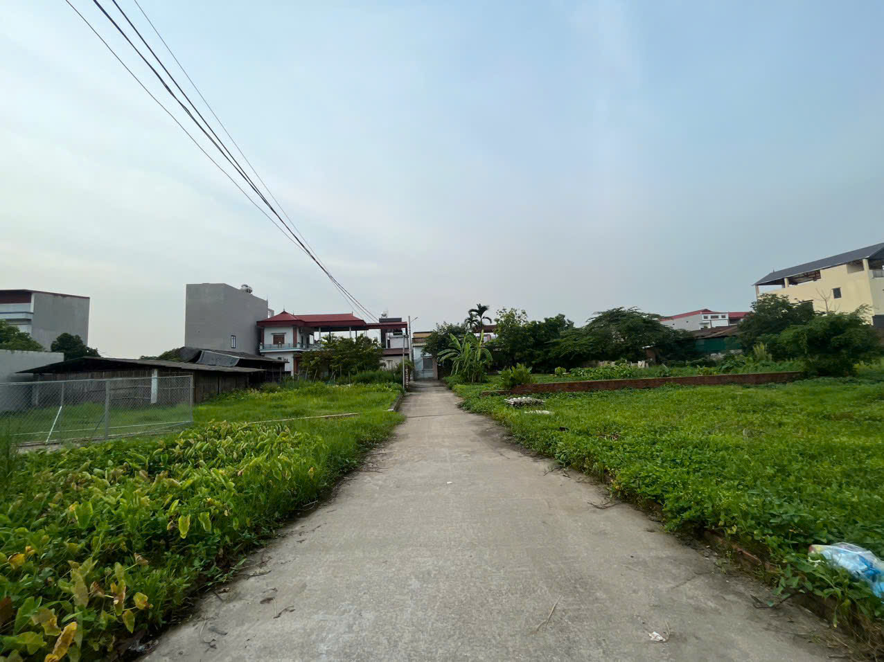 z5843260001156_acc864dd54fcbc832f080a3f1b0d0f8f