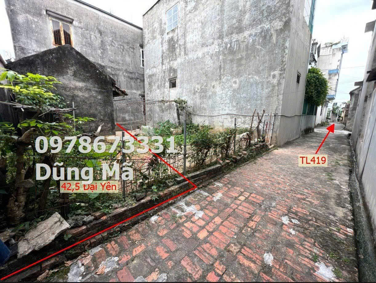 z5844148011159_2a0a1766fb8a932f6d853aa906b5c4c5