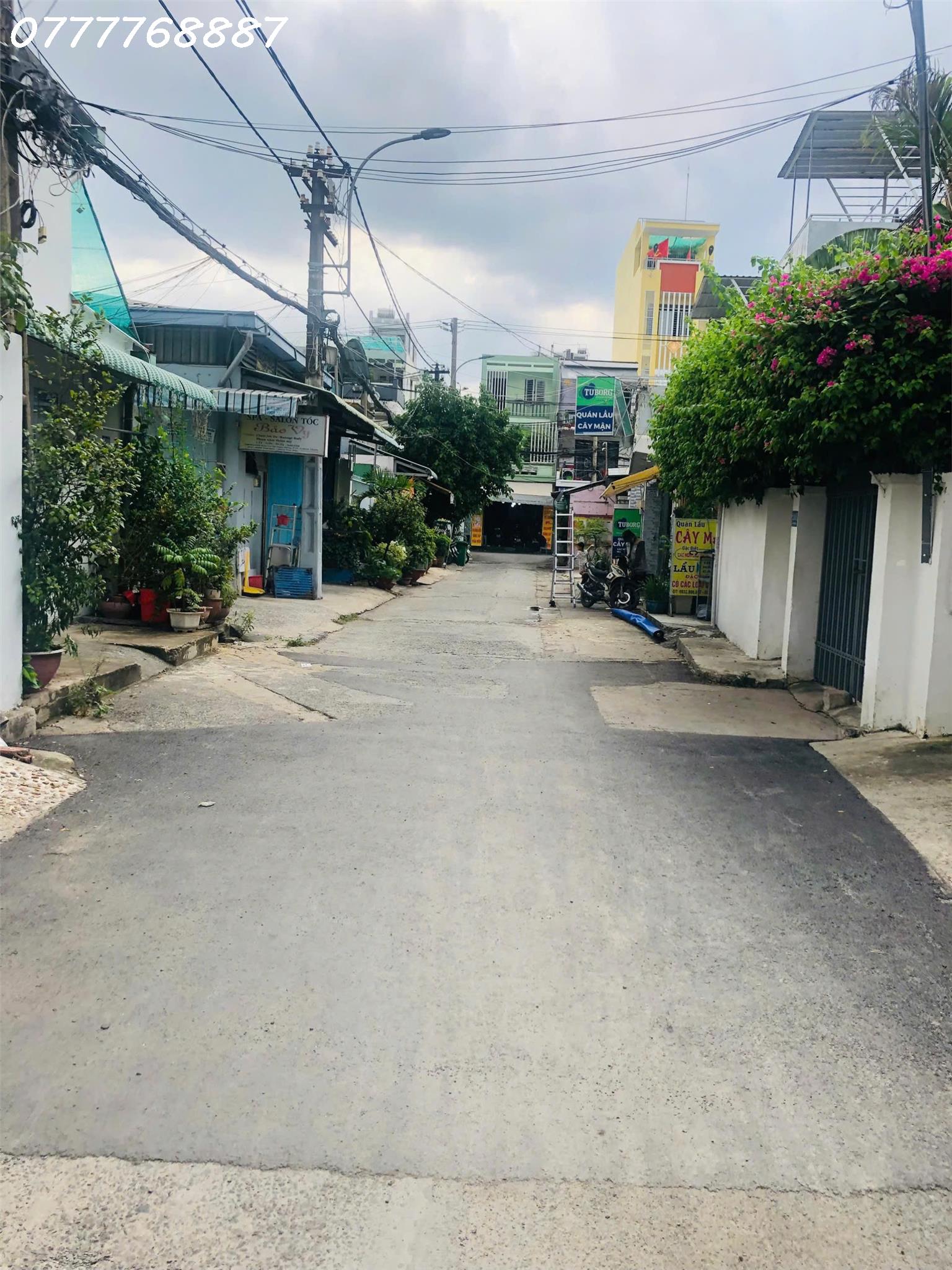 z5845413293130_82e0c6d88ac1c6a564a7403acfd4bd7d