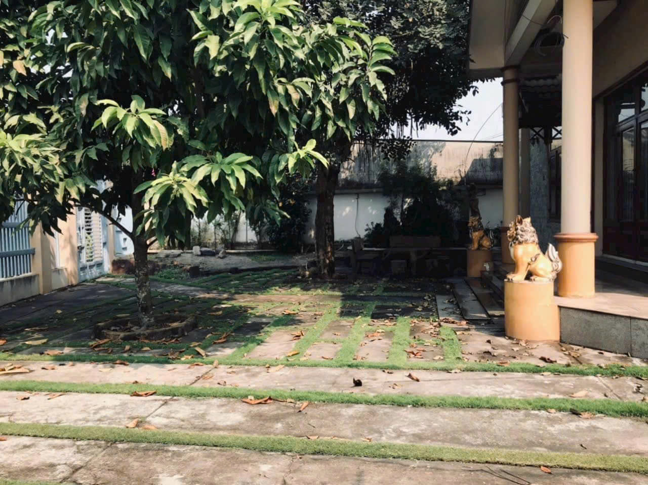 z5846384752850_953bcbc23ab16519bcc09076921a0d49