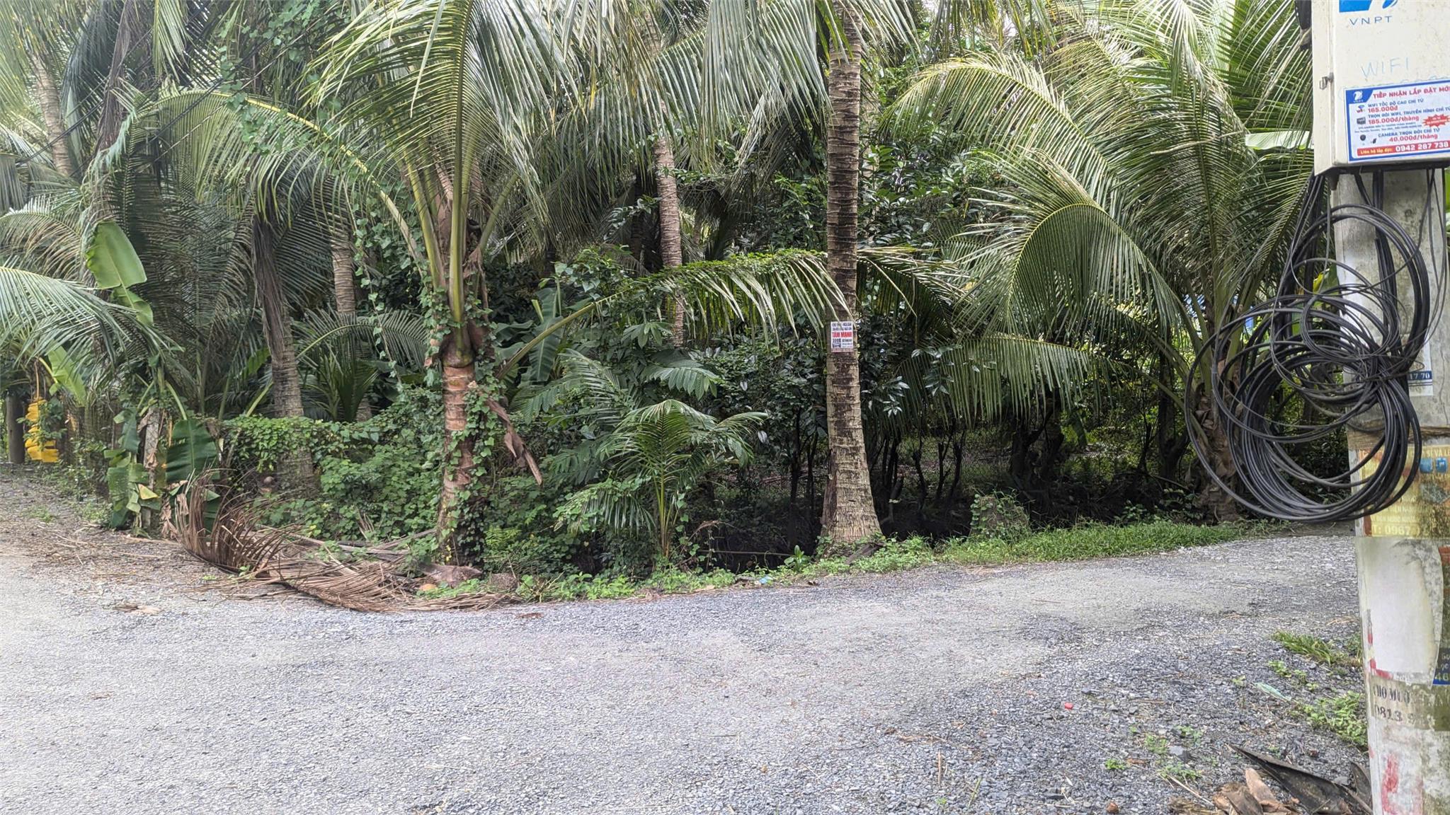 z5848793161535_6d3bda15c8de05c4dc36300fffcdc00b