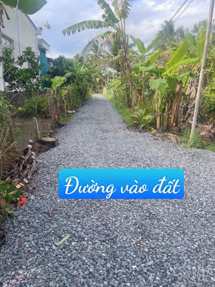 z5848813233448_70518ebf9532f4010285747ce3919d39