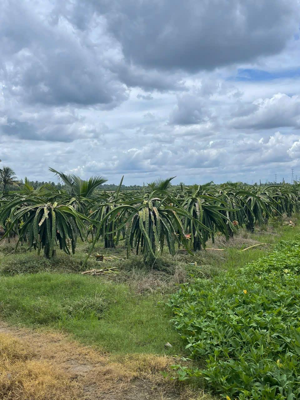 z5848813233498_3e588a5a0b4b3775244ed5a9e06d5ace