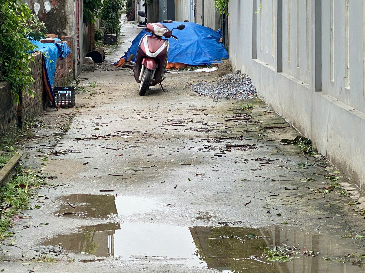 z5848921442332_3234ecd8a99292794fc7eab82107b7e6