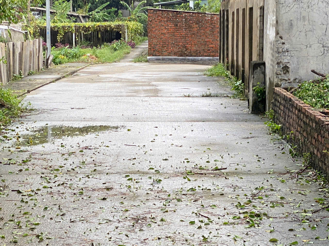 z5848921442340_3d4f23043034b311462fa2a847305424