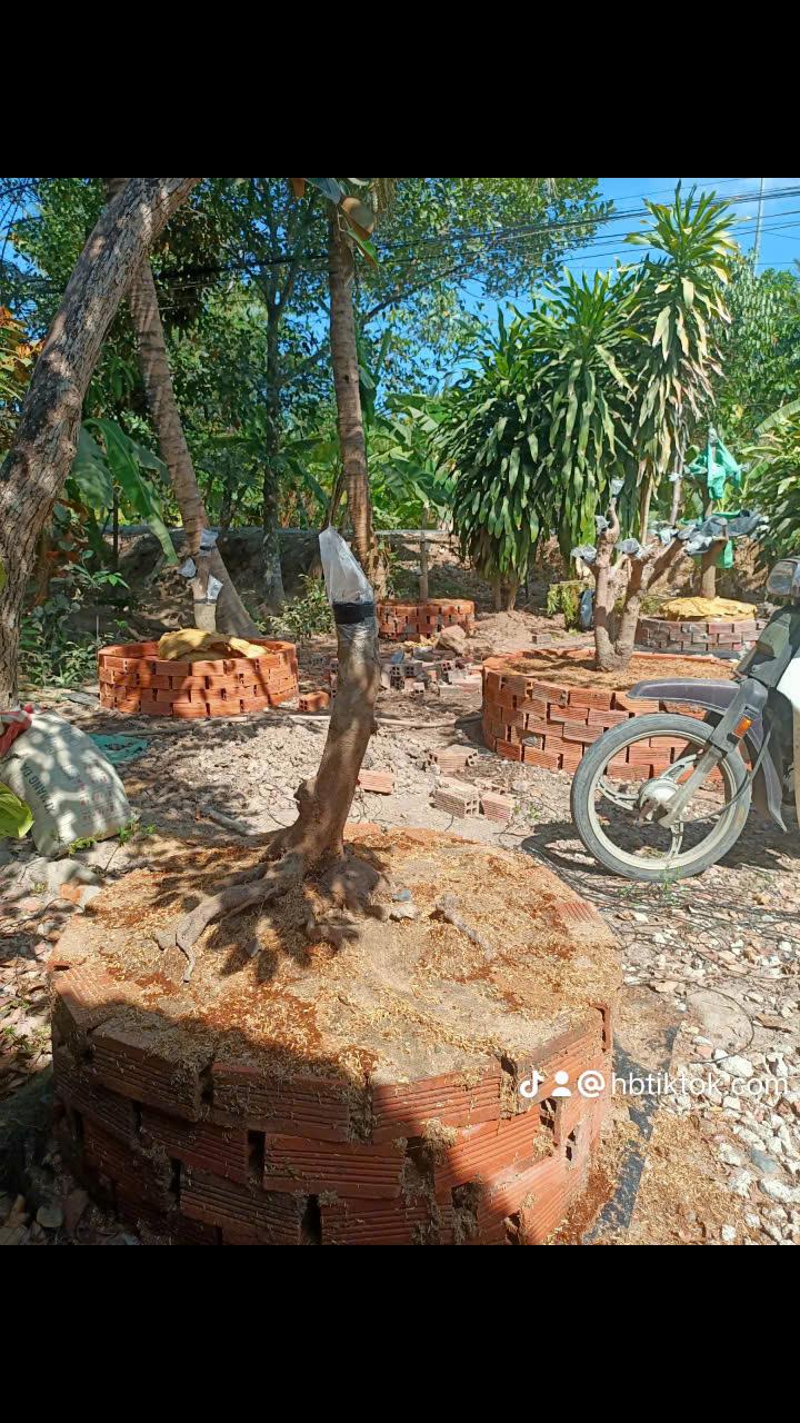 z5850554581138_0e145a2b5bdcb7f8037c12310aae3bef