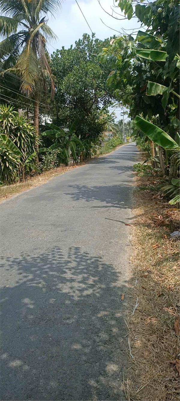 z5850554611631_c428d1d4db70f59ef4f203160d8f123e