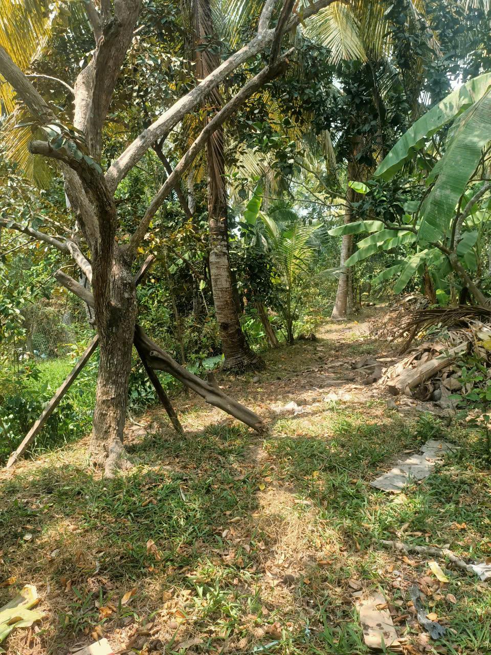 z5850554620258_aee10958185a67f3cd15462c3d4c0c6c