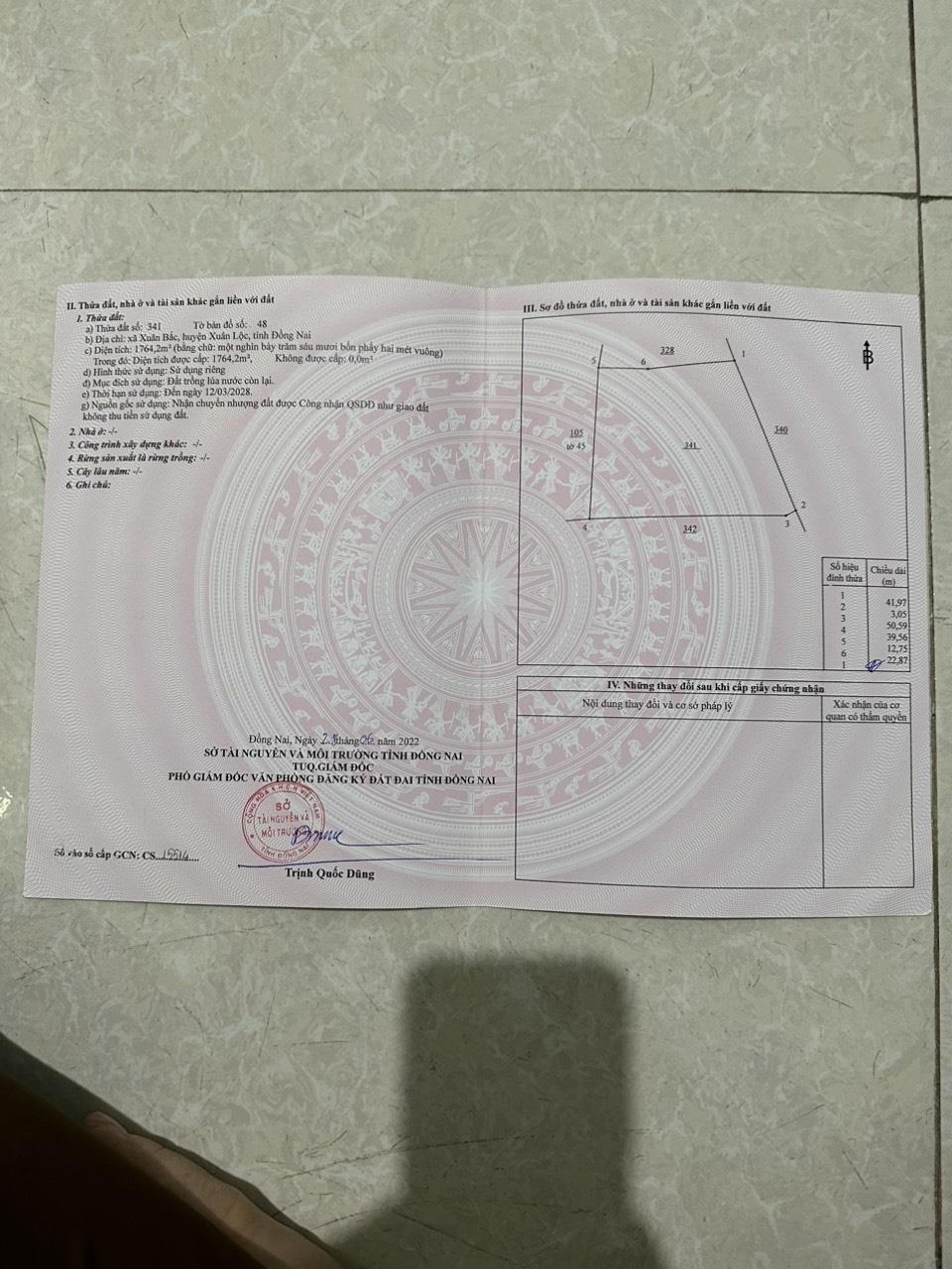 z5855130705476_f284d0b5a8946be108819f140e257917