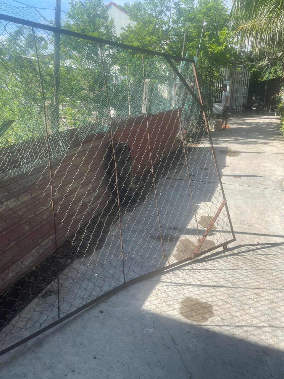 z5857624647656_e1ef177660ed98602a9b4299d09a32f4