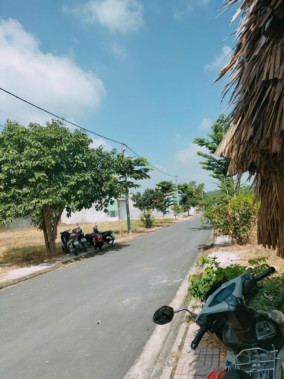 z5865853009317_a78c67b0504a5e2f927a6185d44becbc