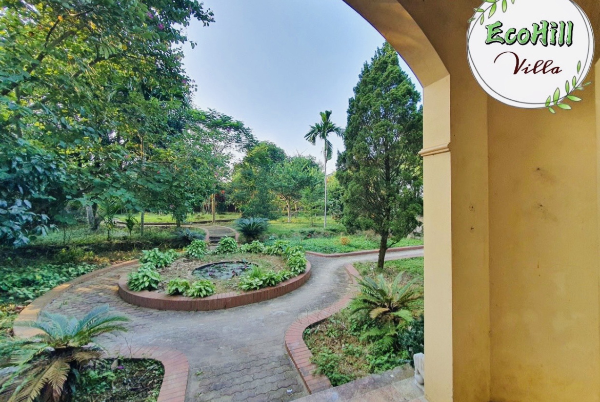 z5865888212657_a99ce6b2b4e1e28cecb79907b23aaf2e