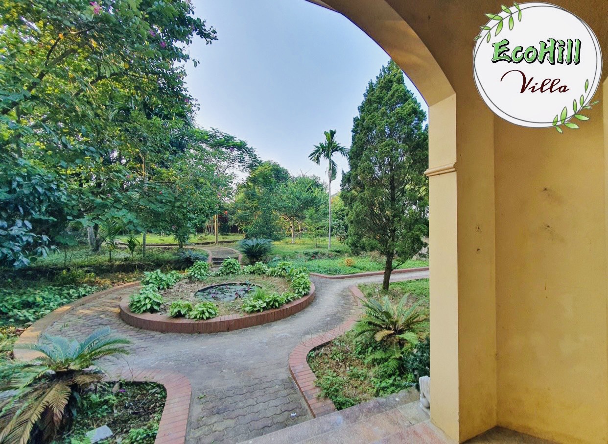 z5865888212657_a99ce6b2b4e1e28cecb79907b23aaf2e