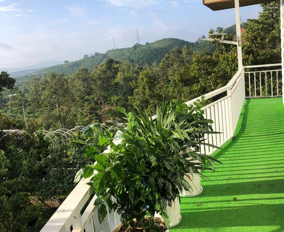 z5866275589467_ffe93fdfdd4d00e3556abe7c4b5b3b29