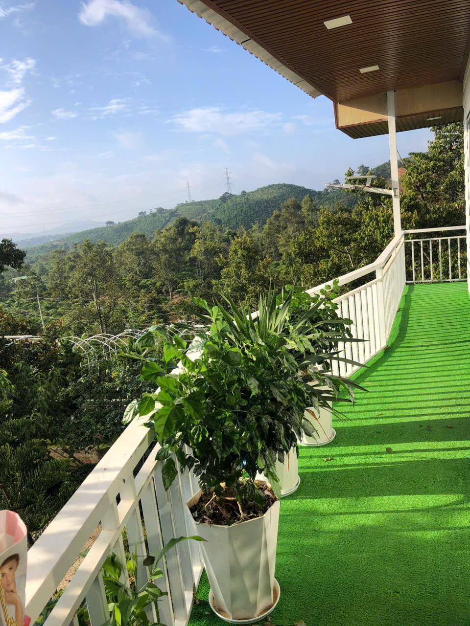 z5866275589467_ffe93fdfdd4d00e3556abe7c4b5b3b29