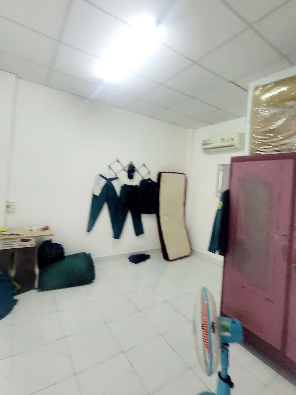 z5866605630009_1b11b71ca3c7dbbba0d5665d9c6e5935