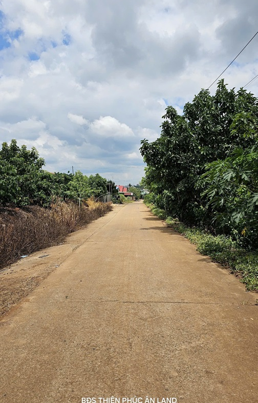 z5867763227834_02b483d9a54aecabb808a70a67b5cd76