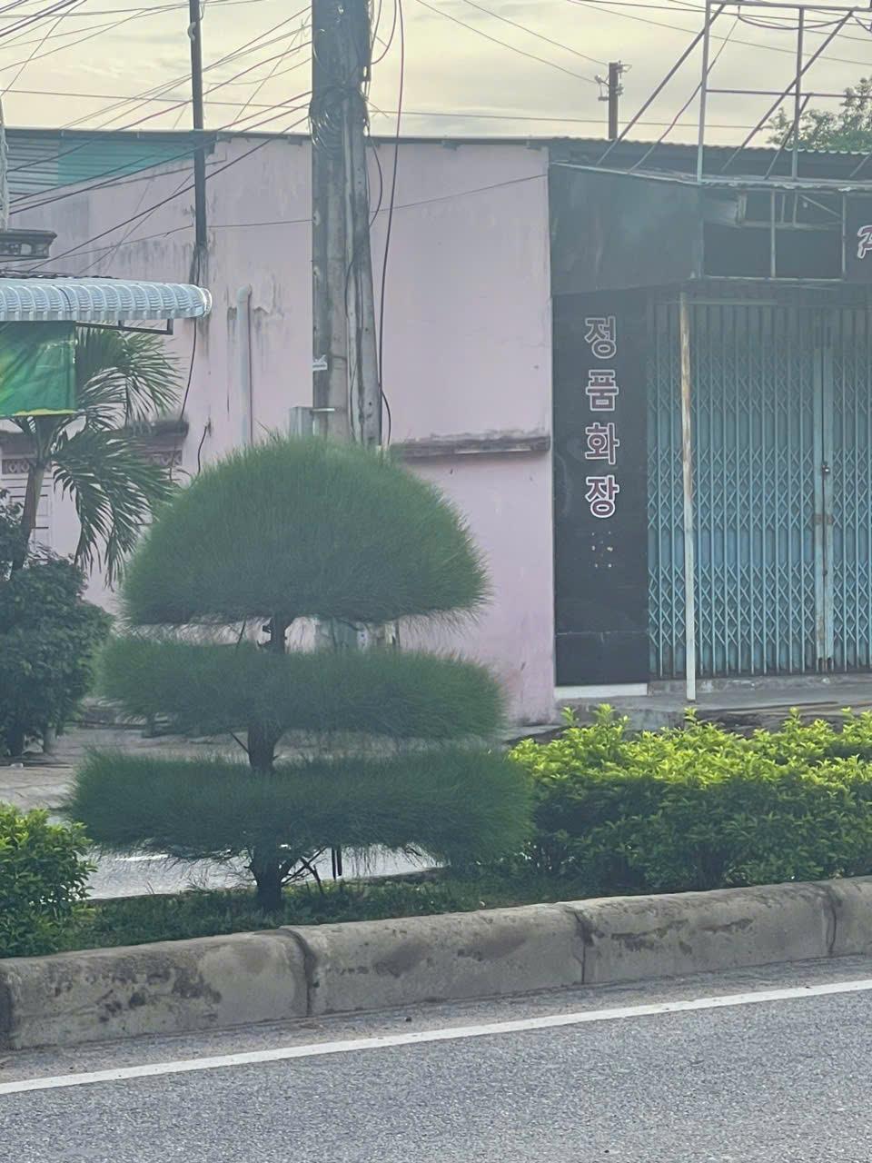 z5868881565206_f1e7c62593e2d4359c26f9106f31de94