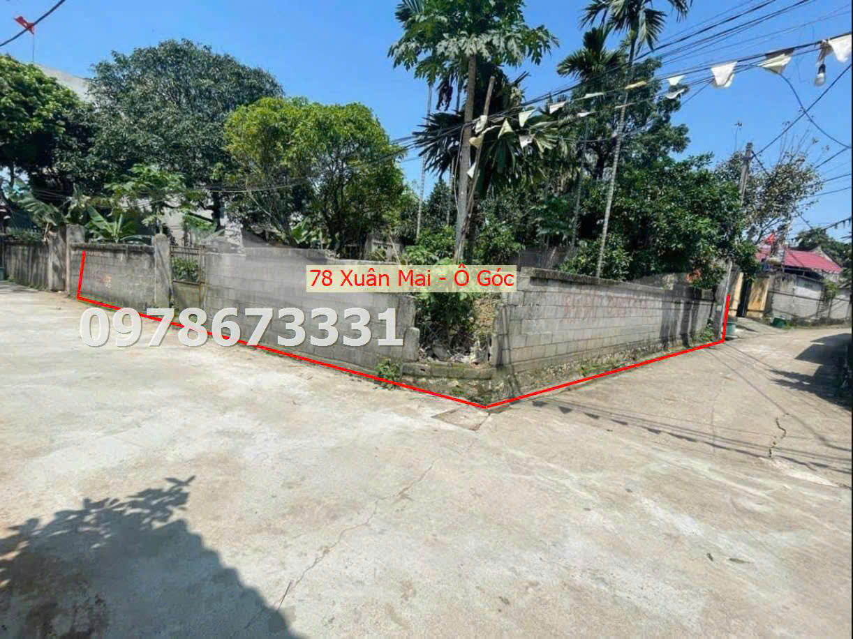 z5870725203670_47f37849946f02e2c46acb301bf96921