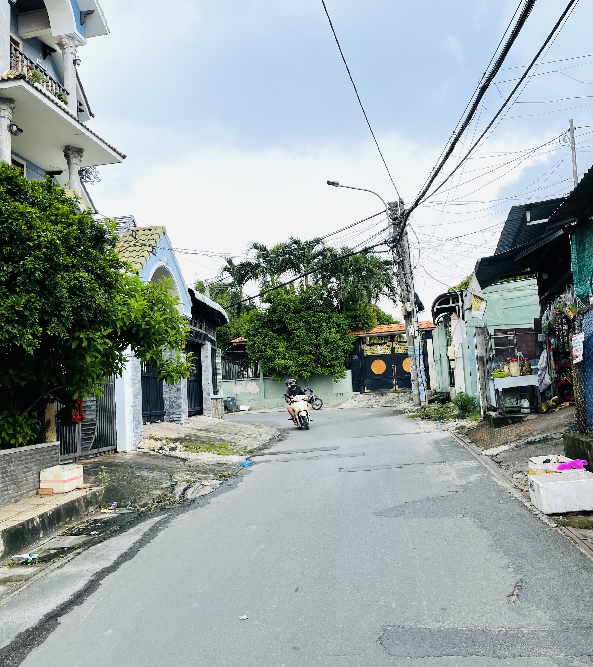 z5871362877801_63470ef641cca339c691f99886b204c8