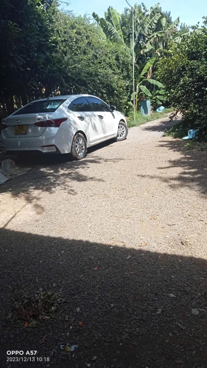 z5871502143788_03c4909a29b184e2e3ffe52611e9f156