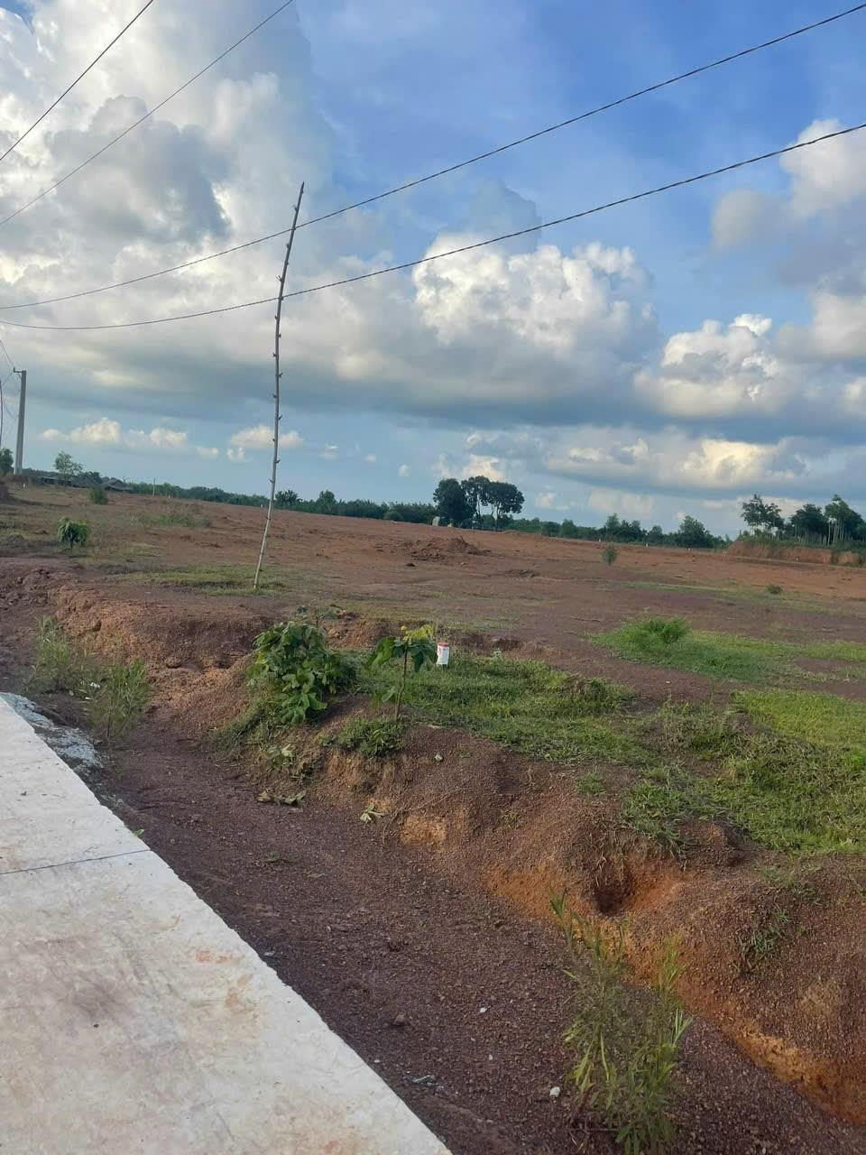 z5872197478034_52d7584b0eecddd146498361b931f504