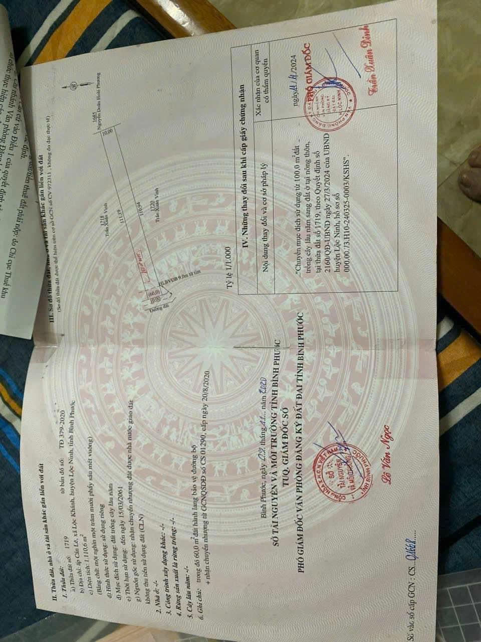 z5872197486213_edc282113ec13fe50154b67d092f5581