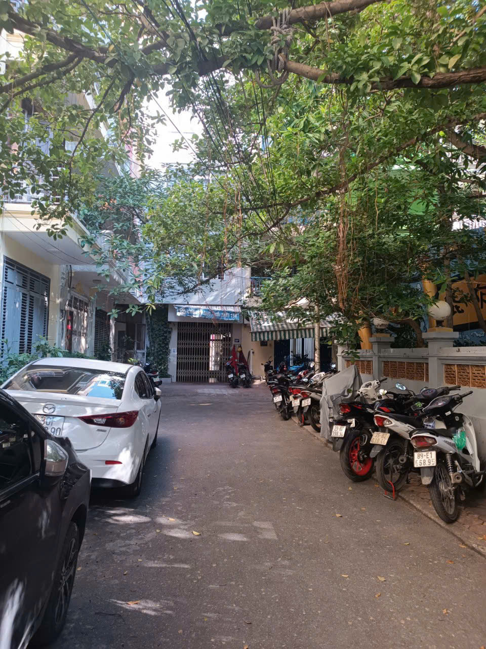 z5872214247416_1c6cdffbe1153ebcd41803de9c958c14